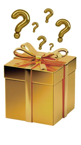 Mystery Box ($100)