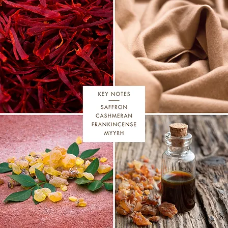 OLFAC3 Perfume: Baast EDP