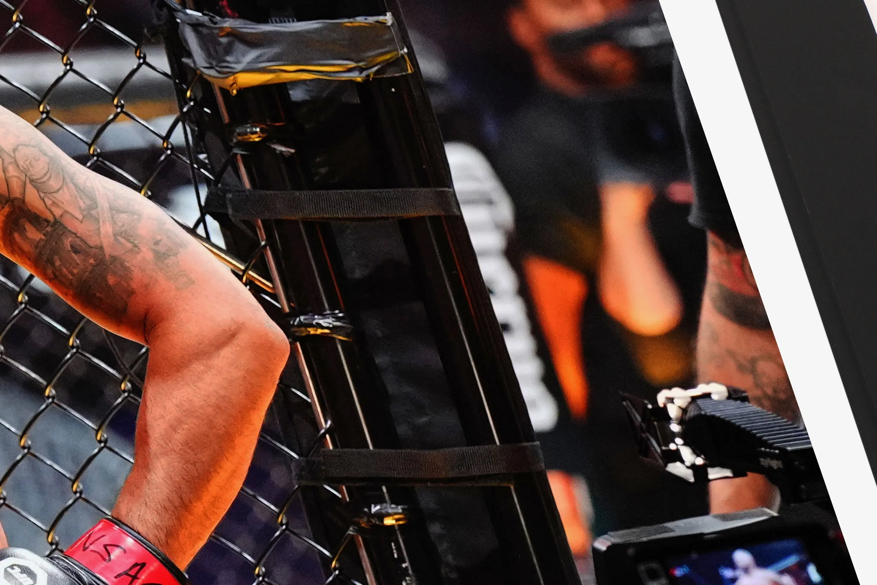 Robbie Lawler Signed Photo UFC 290