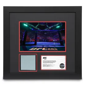 UFC 283: Teixeira vs Hill Canvas & Photo - Octagon
